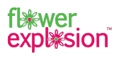 Flower Explosion Logo