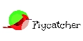 Flycatcher Toys Logo