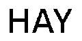 HAY Logo