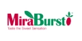 MiraBurst Logo
