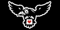 Storm Crow Alliance Logo