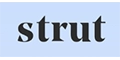 Strut Health Logo