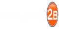 Wholesale2B Logo