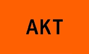 AKT London Logo