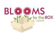 All Blooms by the Box Coupons & Promo Codes