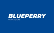 Blueperry Logo