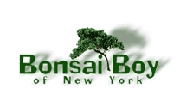 Bonsai Boy of New York Coupons and Promo Codes