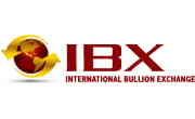 IBX Logo