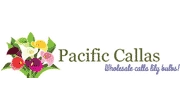 Pacific Callas Logo