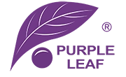Purple Leaf US Logo