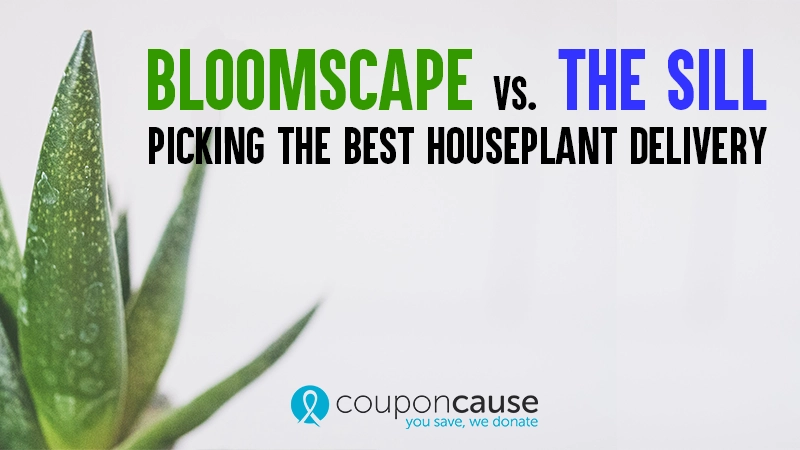Bloomscape vs The Sill - Which is the Best Houseplant Delivery 01