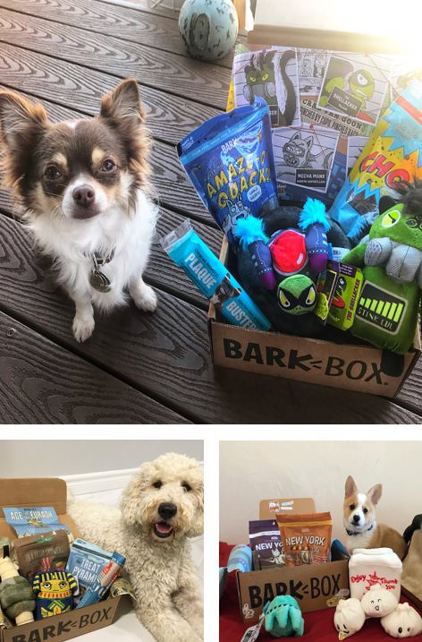 barkbox for puppies