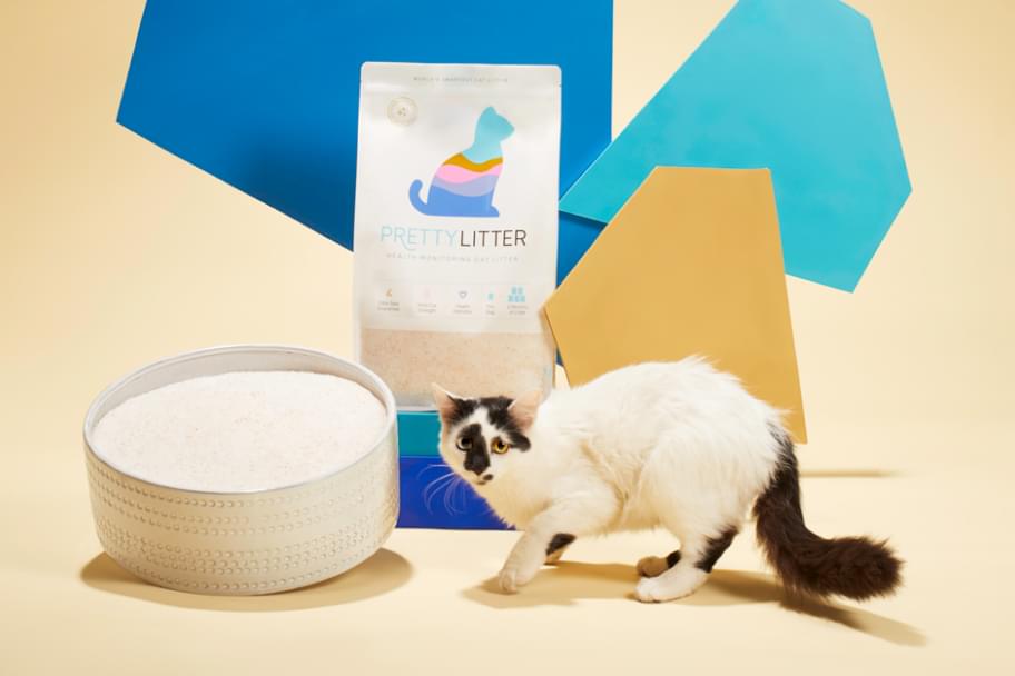 pretty litter reviews - braandthings.com