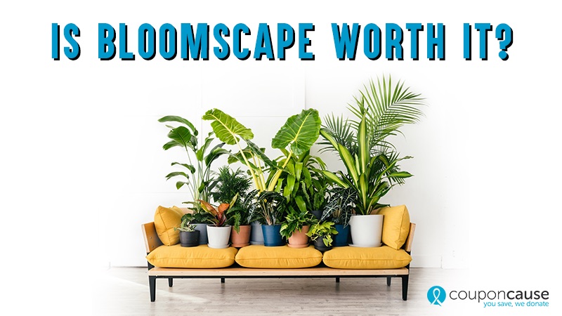 10 Off Bloomscape Coupons & Promo Codes Top May Deals