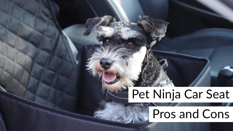 Pros and Cons to the Pet Ninja Car Seat 01