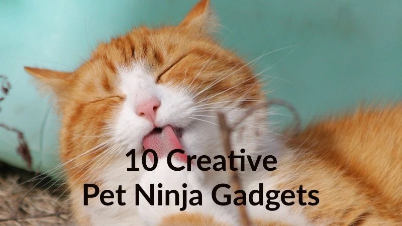 10 of the Most Creative Gadgets from Pet Ninja for Cats and Dogs 01