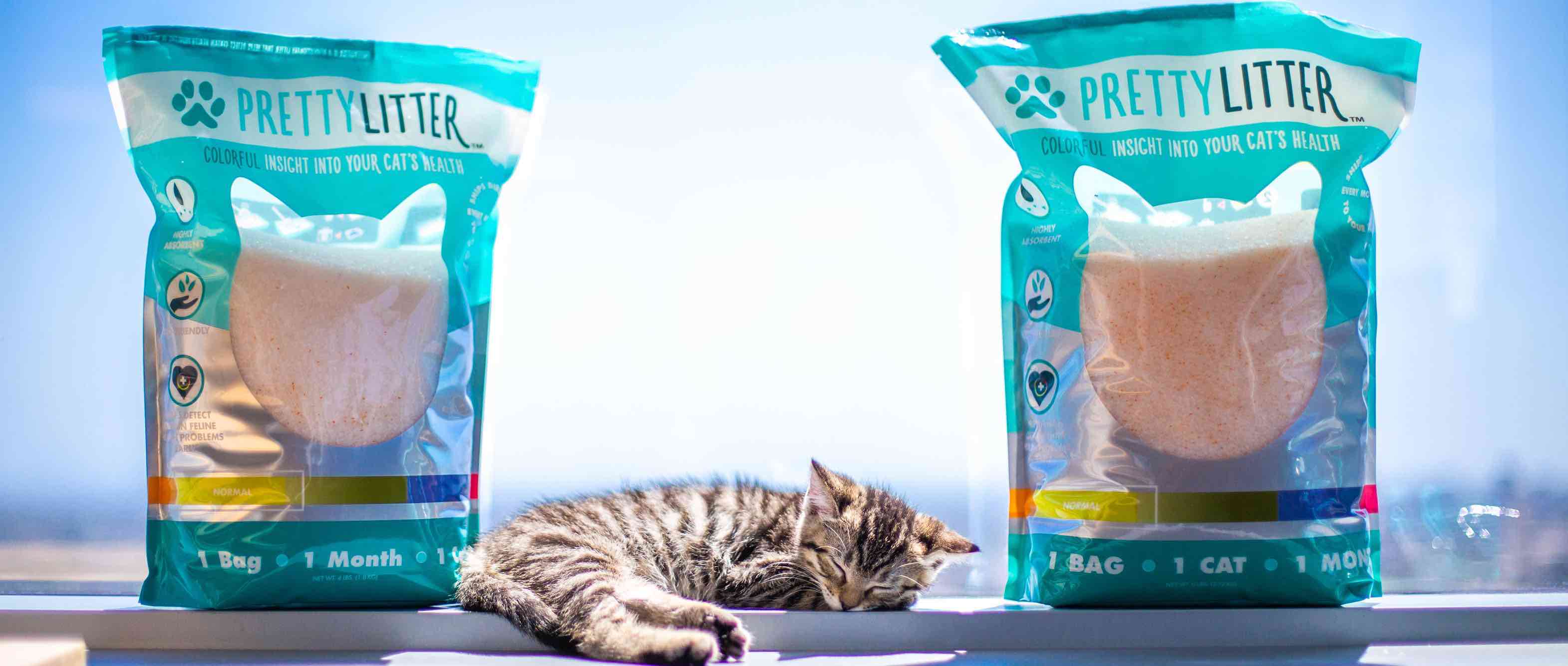 Does PrettyLitter Work? HealthMonitoring Cat Litter Review