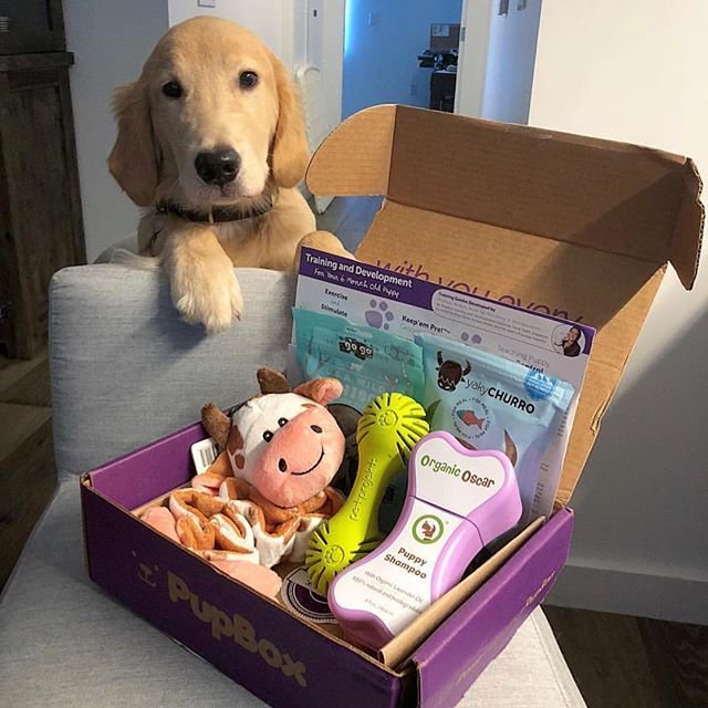 puppy box