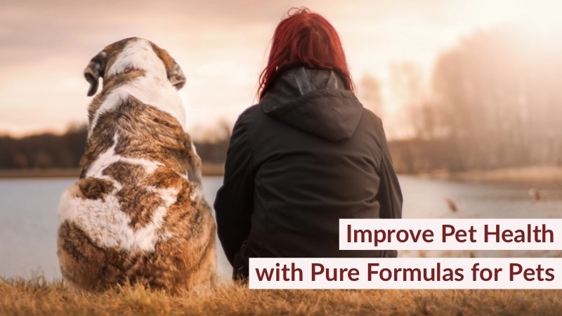 How to Improve Pet Health with Pure Formulas for Pets 01